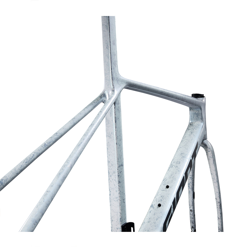 khung xe đạp GIANT TCR Advanced